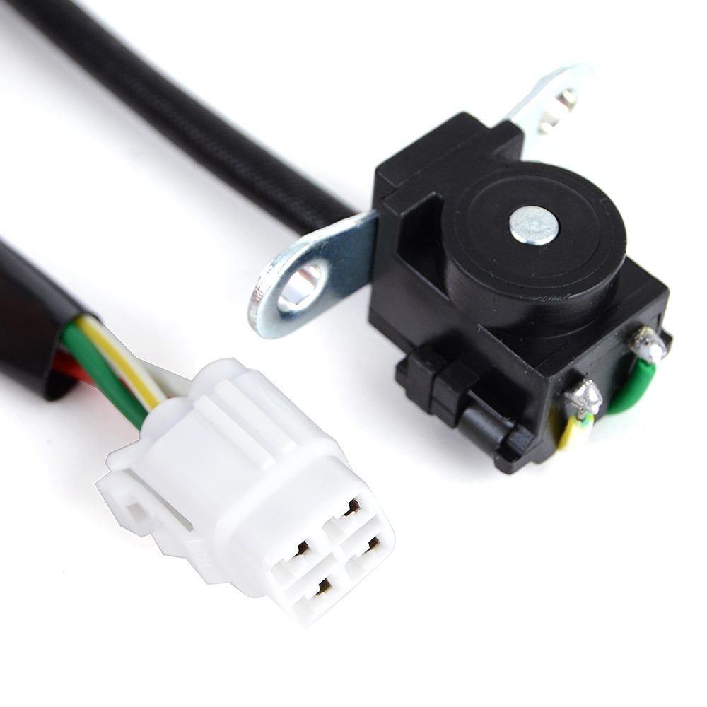 7768