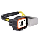 17313