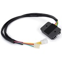 17519