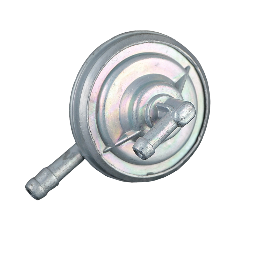 20055