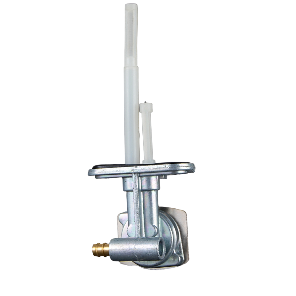 20279