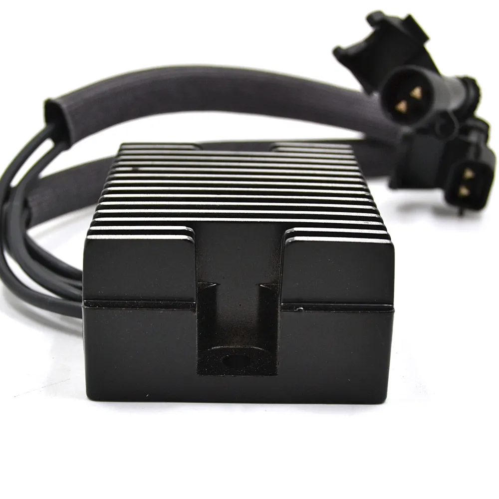 RR-113 (4).webp