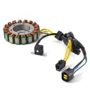 5919