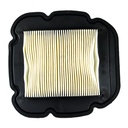 Filtro de aire N/P: 11013-S012 / 13780-06G00 / 13780-27G1