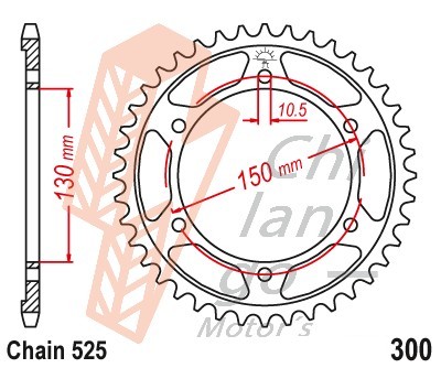 Sprocket R300 T43